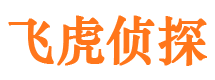 江城市婚姻出轨调查